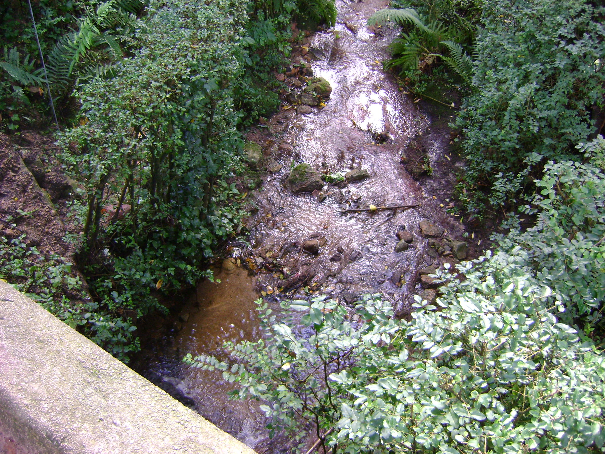 fotos/2011 - Los Reartes/DSC03363.JPG